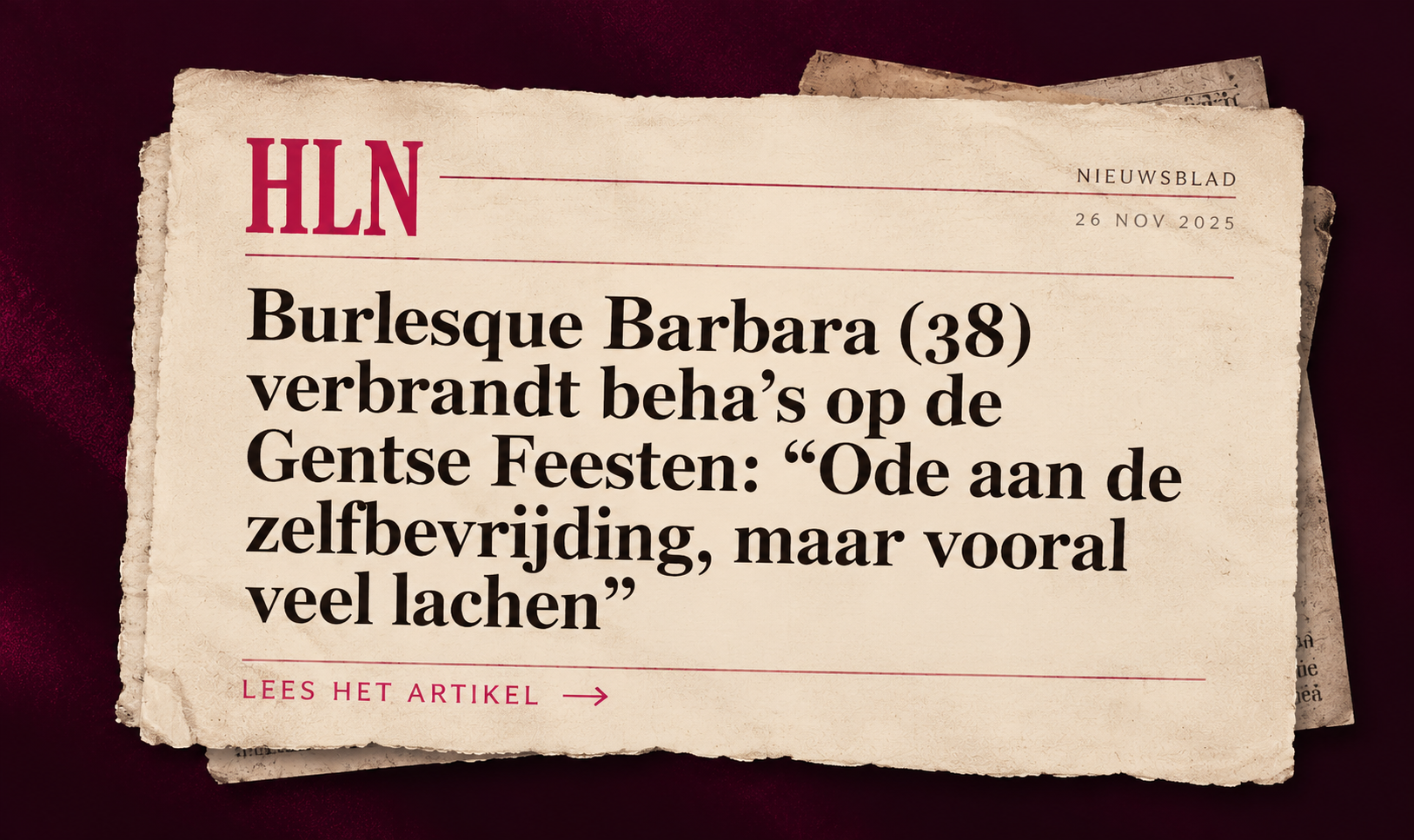 Gestileerde grafische voorstelling bij het HLN-artikel